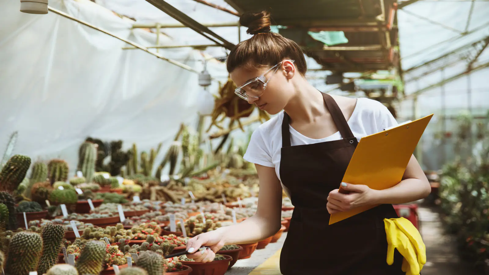 Profesional realizando asesoría técnica en zona verde, evaluando plantas y suelo
