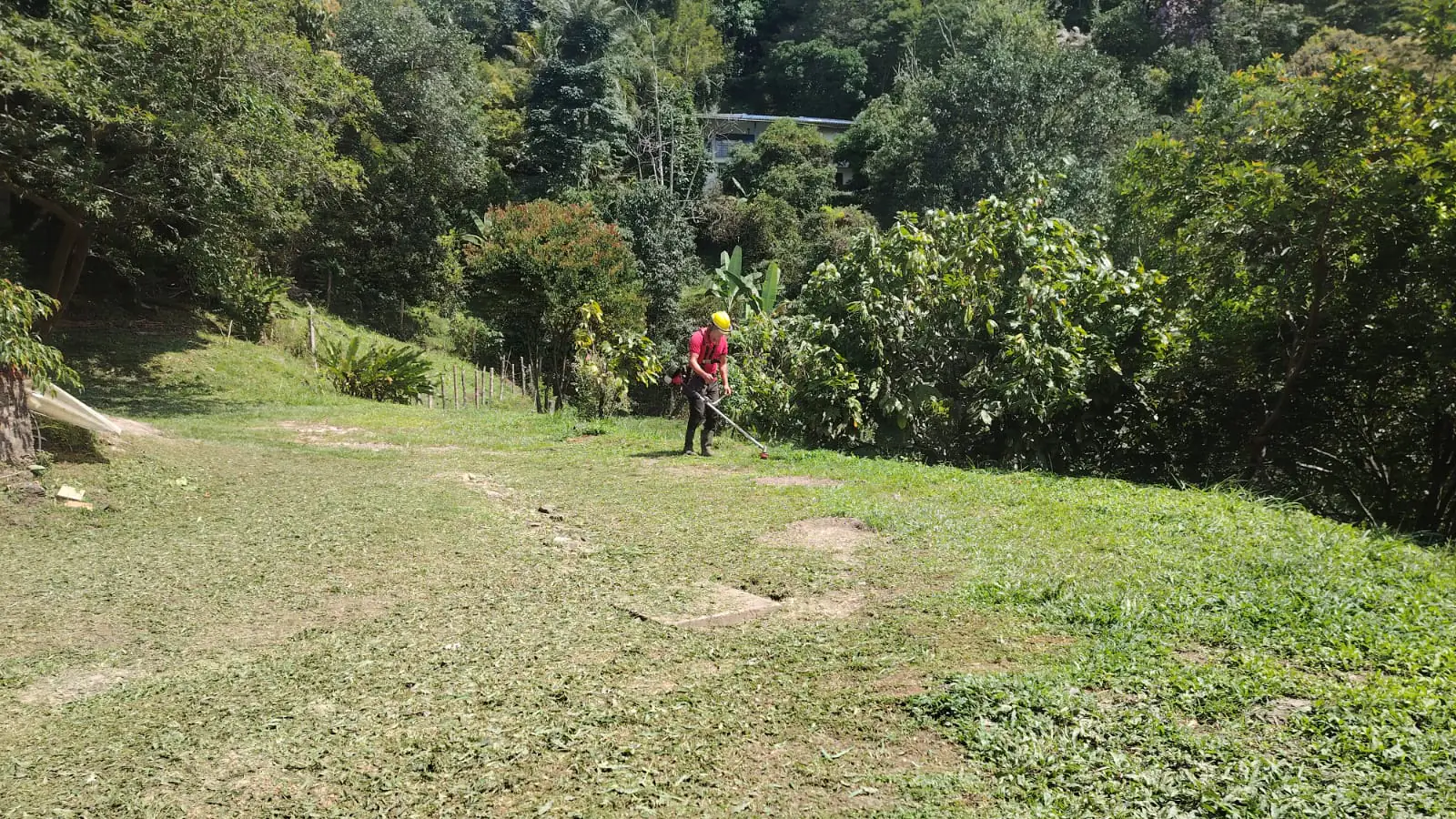 Equipo profesional de Eco Verde A&M instalando Tepe (césped en rollo) con técnica correcta